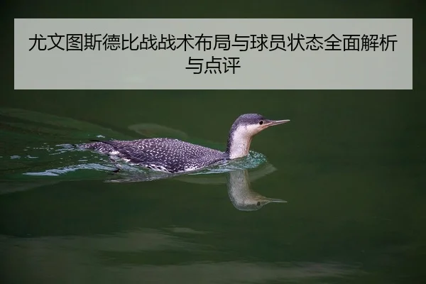 尤文图斯德比战战术布局与球员状态全面解析与点评